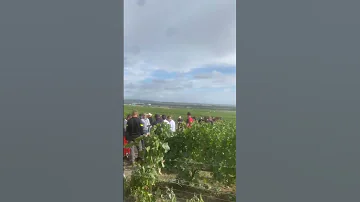 Good Luck With The Harvest 