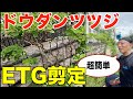 ETG剪定とは？初心者でも簡単な剪定方法を庭師が実演解説【剪定　pruning ドウダンツツジ　8月】
