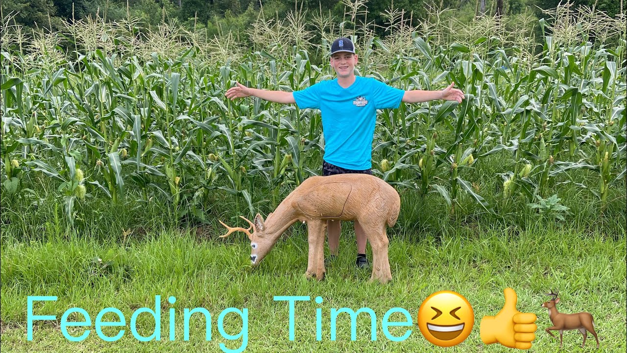 Feeding the deer.with our corn also Bass fishing Feeding deer!! 10