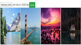 Image Gallery | Firebase | Firestore | Storage