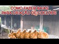 COMO FAZER BAIAS PARA CRIAÇÃO DE COELHOS - Gaiola para coelho ! / Mini Sítio