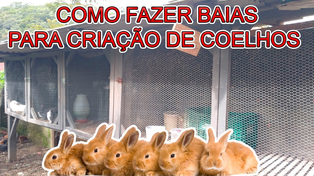 COMO FAZER BAIAS PARA CRIAÇÃO DE COELHOS - Gaiola para coelho ! / Mini Sítio