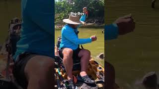 BIG BOY on LIVE BAIT‼️ #fishing #barfly #kayakfishing