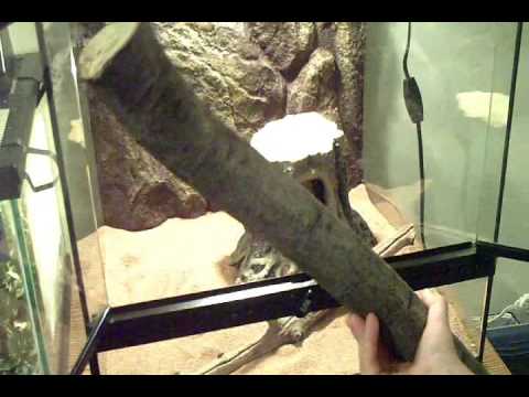 Save Money On Decorations For Your Reptile Cage Youtube