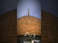 غزة عاصمة العز