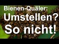 Arme bienen volk einsperren und umstellen am stand aber nicht so umstellen auf kurze distanz