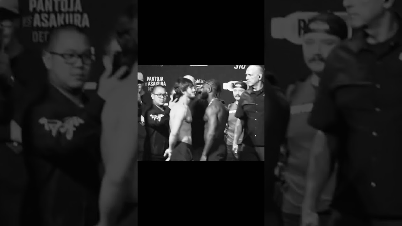 Kavkaz fighters in UFC 💪🏼 