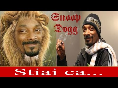 Ce nu Stiai despre Snoop Dogg