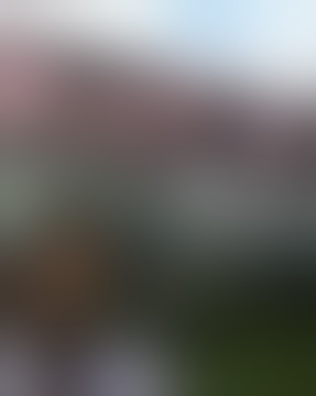 Mataram is Red, Mataram is Blue Versi cewek, stay halal brother, nyesel kalo gak nonton