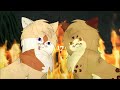 End of video