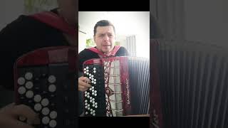 Баянист классно исполнил песню👍🎶🪗 #рекомендации #shorts #маршрут #cover