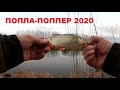 КРАСНОПЁРКА на ПОПЛА - ПОППЕР ! ВЕСНА 2020.