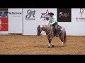 Quahadi - 2018 Snaffle Bit Futurity Open Hackamore Classic