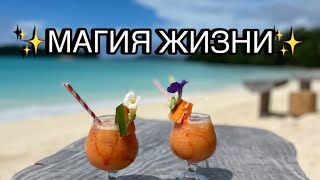 Где брать энергию для жизни. Как радоваться жизни.