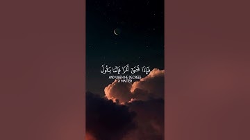 هو الذي يحيي ويميت فإذا قضى أمرا فإنما يقول له كن فيكون | القارئ رعد الكردي