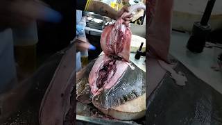 Monster Big Giant Stingrays Fish Sutting Skillsshorts