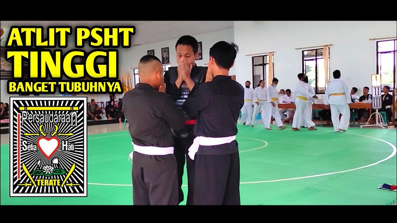 Tanding Atlitnya Tinggi Banget || Padepokan PSHT Jember.