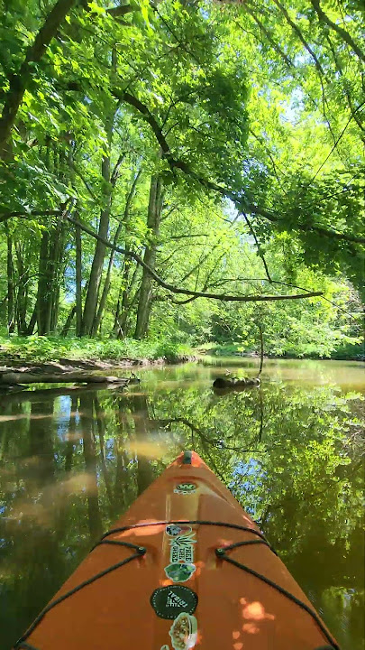 Will it fit?(pt5)#kayaking #nature #river #asmr #myhappyplace #wildernesssystems