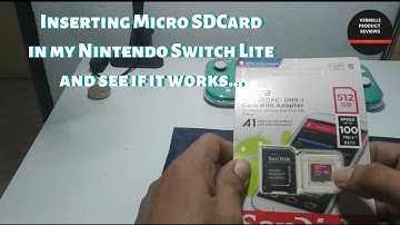 Inserting SD Card in my Nintendo Switch Lite and See if it Works