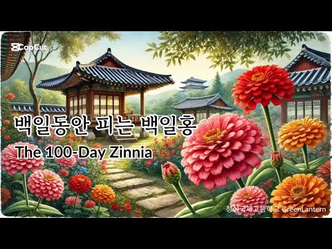 백일동안 피는 백일홍 (The 100-Day Zinnia)