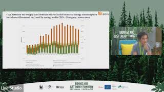 Biomass Market in the Central Eastern Europe &amp; Climate Policy: Gabriella Szajkó|BioScreen Conference