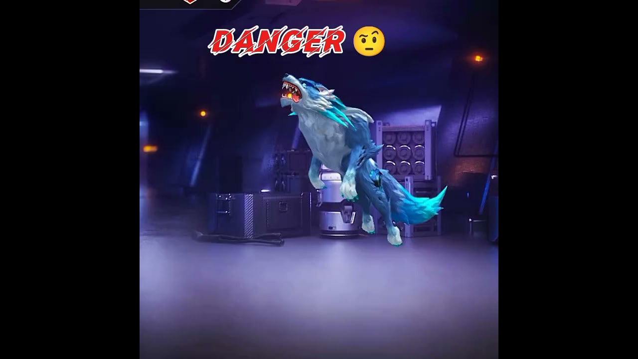 cute Vs danger video like now 