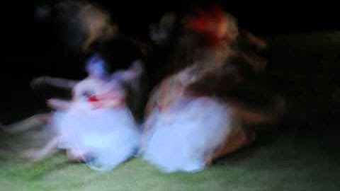 Creature Image Book slideshow.qt