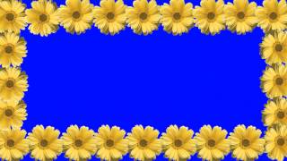 Yellow Frames Wedding Video Background