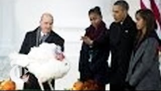 Two Lucky Birds: President Obama Pardons Turkeys - Thanksgiving 2013 | The New York Times