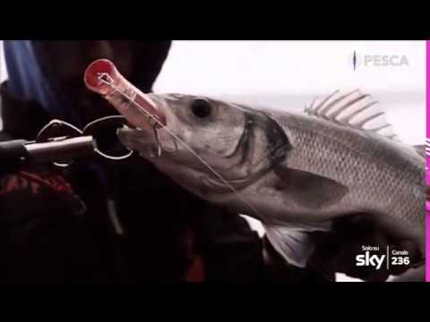 Video: Divieto Di Pesca A Spinning In Primavera