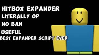hitbox expander script works in all games