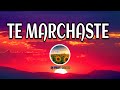Ozuna Te Marchaste Letra Lyrics Ozutochi mp3