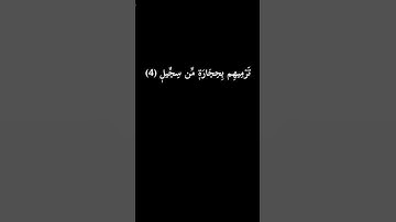 كروما سوداء سورة الفيل #الشيخ_فارس_عباد