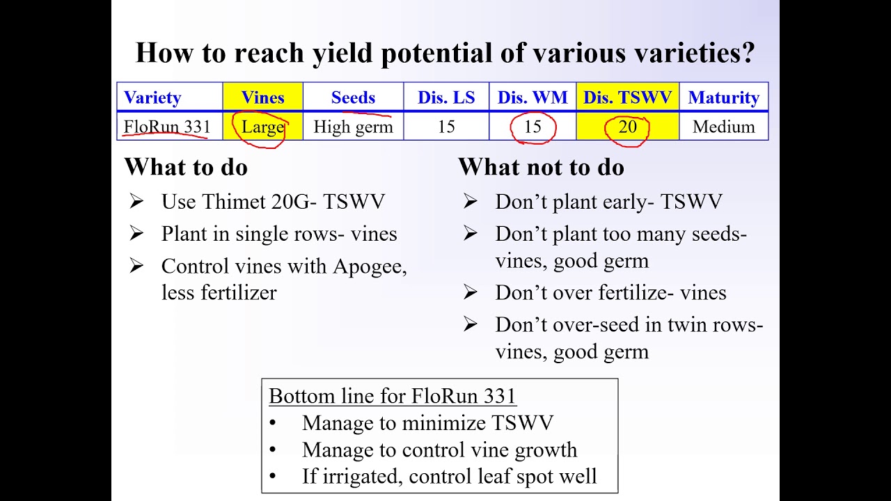 2021 Peanut Meeting  Marianna Part III  Yield Gap Variety Management