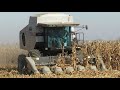 Harvest 2020 | Gleaner R52 Combine Harvesting Corn | Corn Harvest 2020