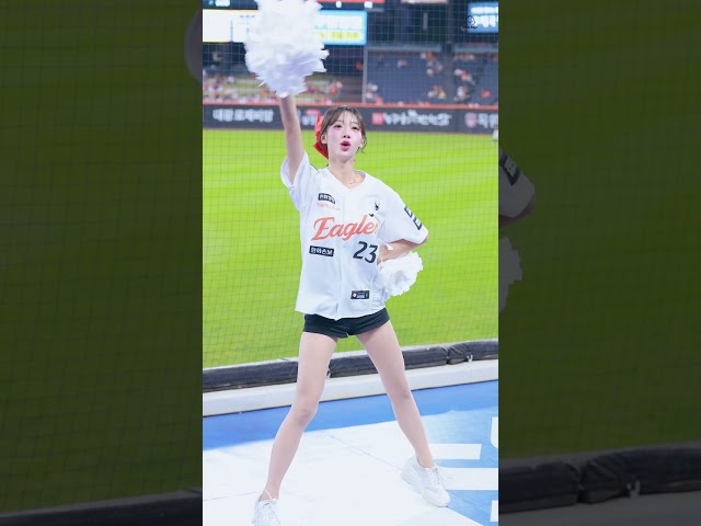 한화이글스 야구장에서 우수한 치어리더 응원 직캠 영상