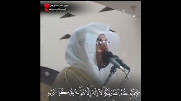 تلاوة مؤثرة جدا جدا ليته ماتوقف عن القراءة ياسر الدوسري