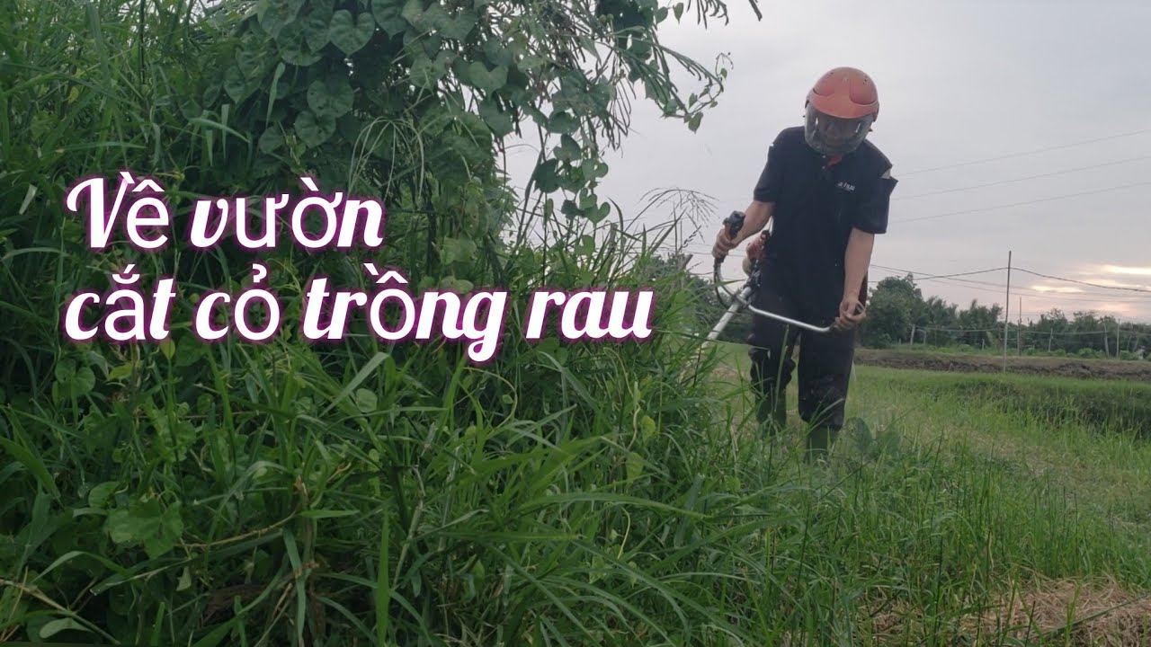 về quê làm cỏ trồng rau - YouTube