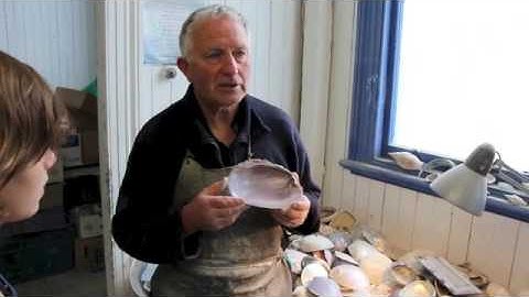 Riverton Paua Factory