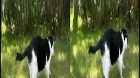 3D test yt3d:enable=true