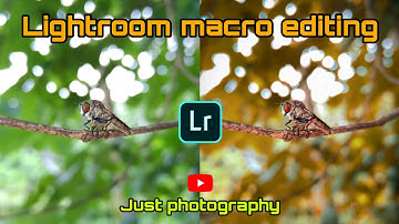 Lightroom macro editing | macro insect editing | macro photography | macro editing tutorial