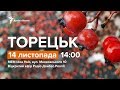 LIVE | Розбита вітрина Донбасу. Ефір із Торецька | Радио Донбасс Реалии