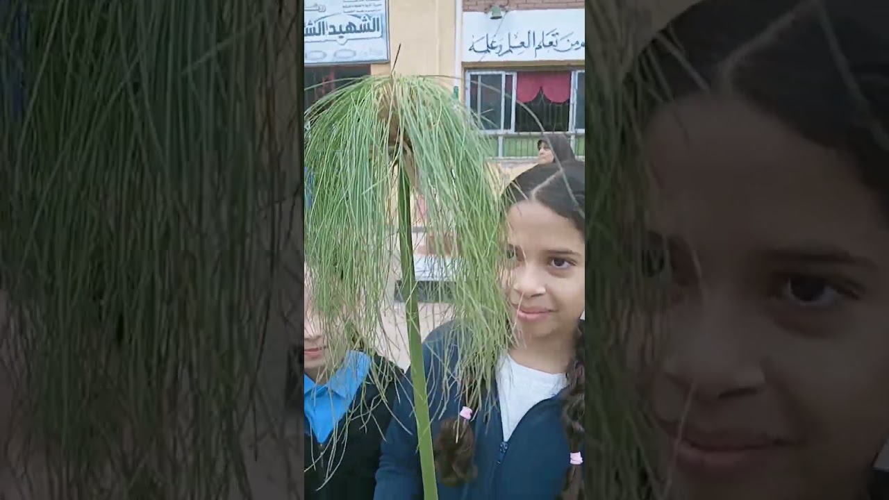 ١٧ فبراير ٢٠٢٦