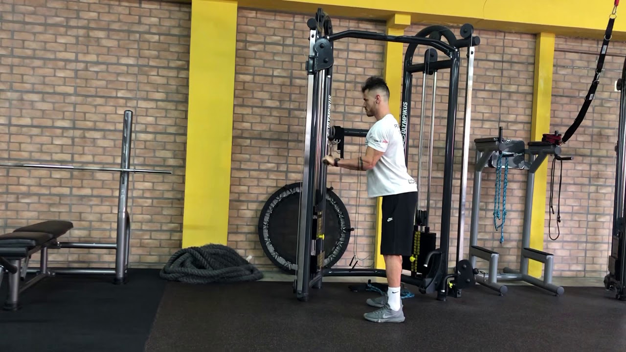 TRÍCEPS Tríceps Pulley YouTube