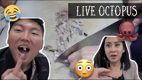 PERTAMA KALI COBAIN MAKAN GURITA HIDUP!! 🐙| Kuliner di Gwangjang Market Seoul