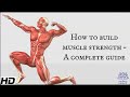 How to build muscle strength a complete guide