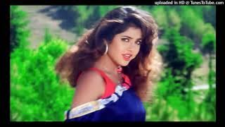 Aisi Deewangi Song ❤️ Deewana 90s ❤️ Tera Naam Rakh Diya_ Divya Bharti_ Shah Rukh Khan_ Alka Yagnik_