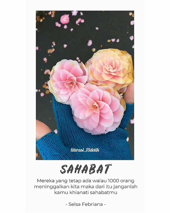 Status wa!!!dear sahabat terbaru 2018