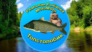 Как поймать Толстолобика на Лесной реке [NEW] | Реальная Рыбалка