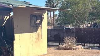 Fixer-upper duplex to get upgrades with North Las Vegas curb appeal grant